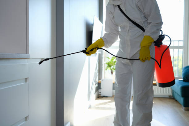 Best Crawl Space Mold Removal  in Wamac, IN