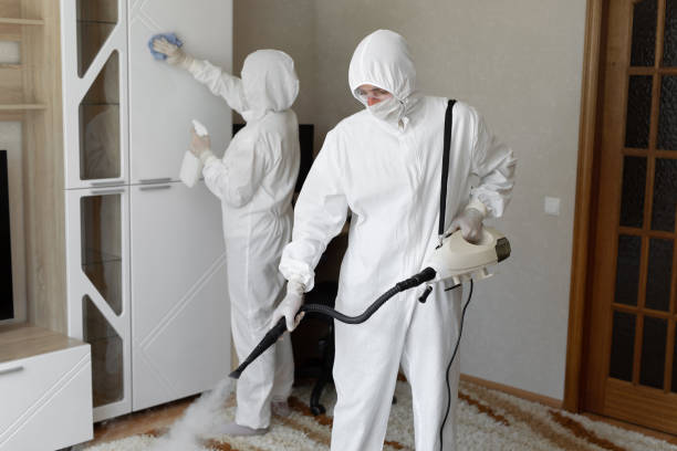 Best Local Mold Removal Service  in Wamac, IN