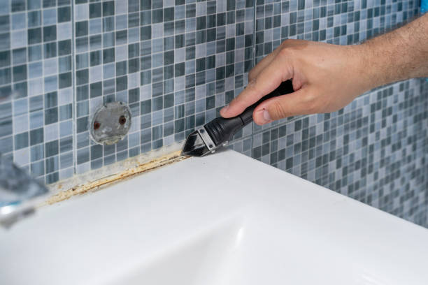 Best Mold Remediation  in Wamac, IN